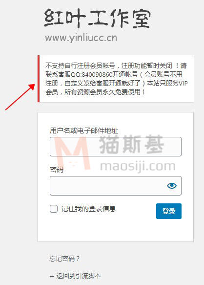 为 WordPress 主题 Loostrive 修改登录页面的提示信息 建站案例